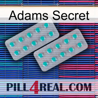 Adams Secret 29